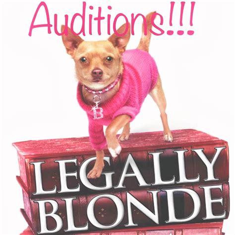 ‘legally Blonde Auditions In Madison On Feb 14 16 The Madison