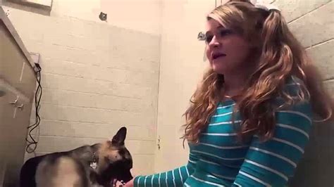 Youtube Girl Fucking Dog