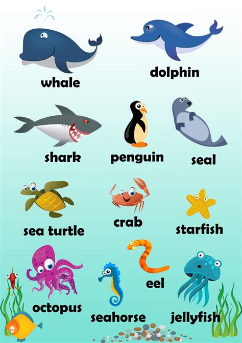 Choose two different pictures, hand each student one and ask them to find similarities by asking questions, but not revealing their picture ask the students to write down their water animals clipart with names 20 free Cliparts ...