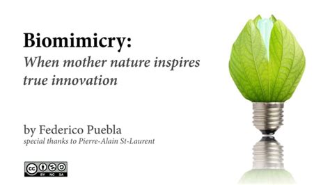 Biomimicry When Mother Nature Inspires True Innovation Ppt