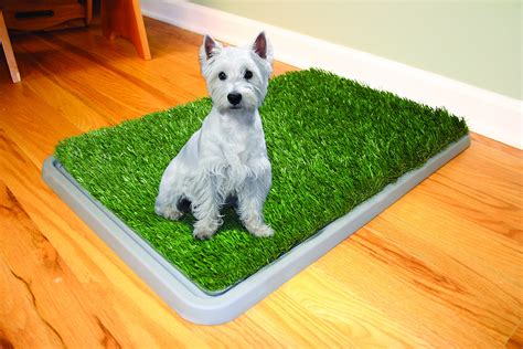 Dog large puppy pads are available in a variety of options on the site for your purchase, and all you need to do is simply go to alibaba.com and check through the variable dog large puppy pads in order to buy the best one suiting your criteria. Potty Patch Regular Kit (Pets under 15lbs) - Indoor dog ...