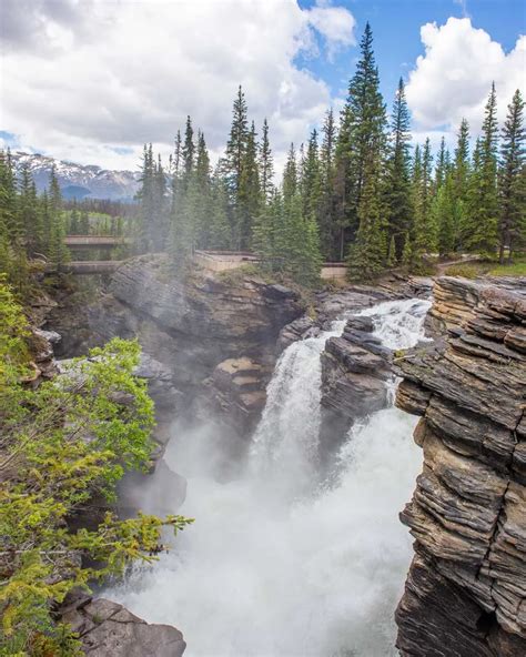 13 Things To Know Before Visiting Athabasca Falls Jasper