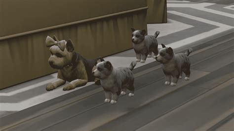 The Sims 4 Cats And Dogs Adopting Organizerkum