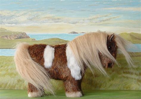 Its Windy Up In The Shetland Isles This Pony Was Modelled On Socks