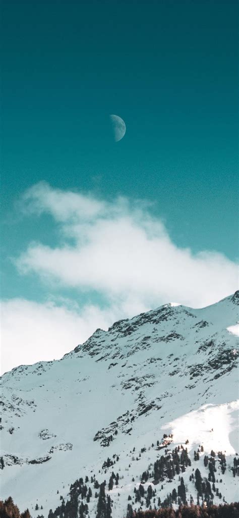 Pink blue teal happy aesthetic pool collage summer. green trees on mountain #nature #mountain #snow #teal #iPhone11Wallpaper in 2020 | Teal ...
