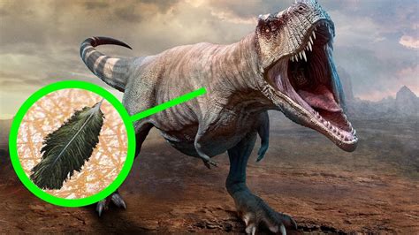 11 Datos Impactantes Sobre Los Dinosaurios Que Eran Desconocidos Youtube