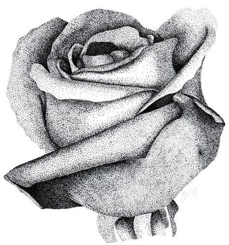 Stippled Rose By Moonlightromance16 On Deviantart Stippling Art