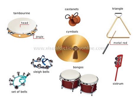 Esther Musical Instruments