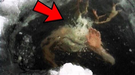 Top 10 Mysterious Things Found Frozen In Antarctica Youtube