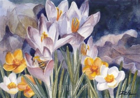 Zeh Original Art Blog Watercolor And Oil Paintings Spring Flowers