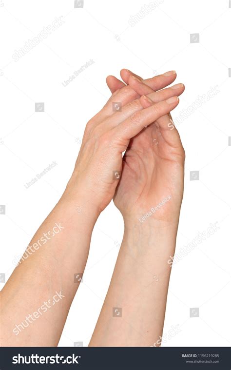 Caucasian Womans Hands Loosely Interlaced Fingers Stock Photo