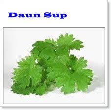 Sprinkling the leaves with a small amount of water and storing in a plastic another method for storing parsley is freezing it. Daun Parsley In Malay