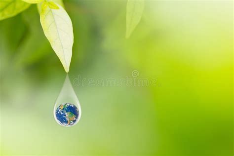 Earth In Water Drop Under Green Leaf International Earth Day Elements