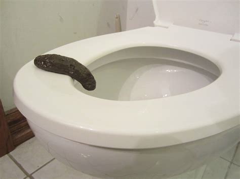 1 New Party Pooper Bathroom Toilet Gag T Fake Crap Human Turd Poop