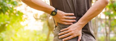 Orthopaedic Guide To Chronic Back Pain New Mexico Orthopaedic Associates