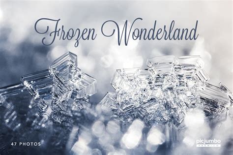 Frozen Wonderland Stock Photos