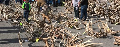 Hours may change under current circumstances Jackson Hole Wyoming Activities- Old West Days - Inn on ...