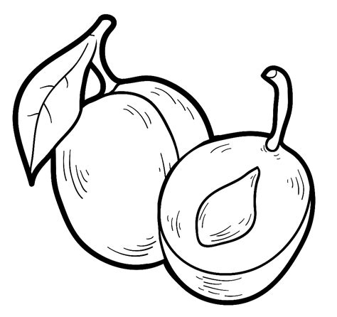 Plum Coloring Page Free Printable Coloring Pages