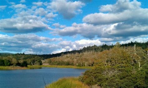 It benefits your whole body and if rightly done with proper breathing, a meditation on its own. Annadel State Park ~Santa Rosa, CA | State parks, Places ...