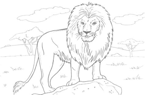 Free lion coloring page to print and color. 20+ Free Printable Lion Coloring Pages - EverFreeColoring.com