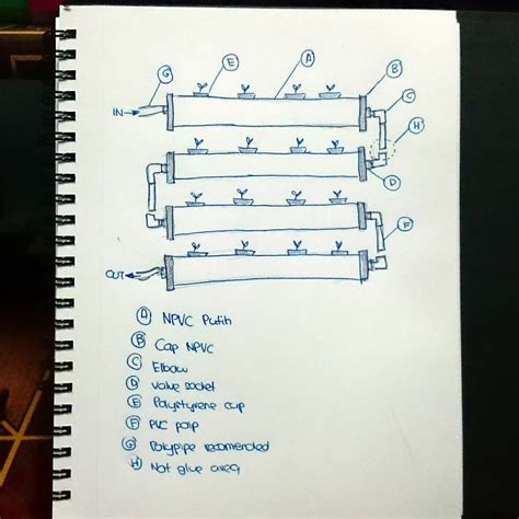 Cara menanam tomat dari biji agar berbuah banyak menggunakan tehnik hidroponik. DIY Rak Hidroponik Di Rumah Anda