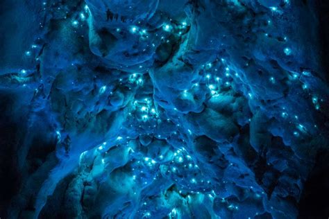 Spectacular Long Exposure Photos Of A New Zealand Cave Covered In Glow