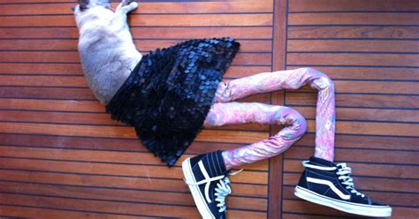 Cats Wearing Tights Is A Thing Gucci The Cats Owner Katja Wulff