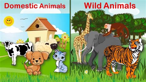 Domestic And Wild Animals For Kids Youtube