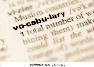 Definition Word Vocabulary Dictionary Stock Photo Shutterstock