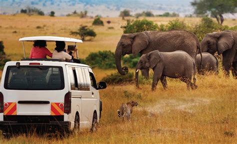 Safari Activities In Amboseli National Park Kenya Safari Tours