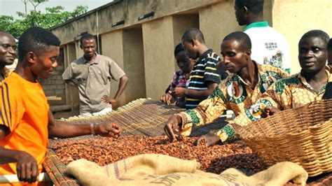 Can Ghanas Cocoa Farmers Ever Emerge From Poverty Devex