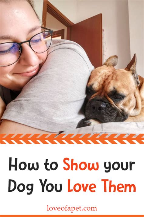 How To Show Your Dog You Love Them 10 Way Love Of A Pet In 2020