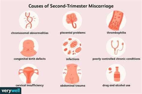 Reasons For Miscarriage In The Second Trimester