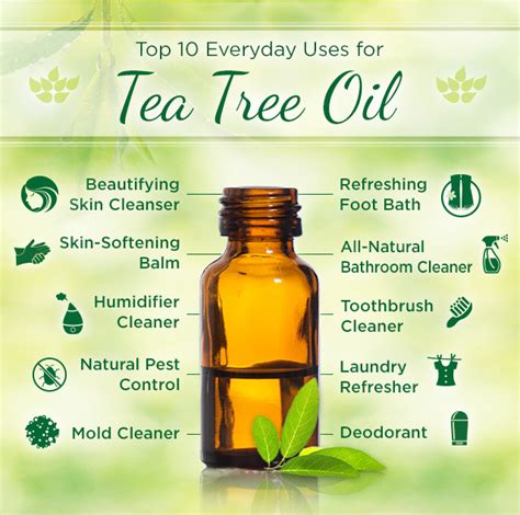 Top 15 Uses Of Tea Tree Oil Health Benefits Of Tea Tree Oil