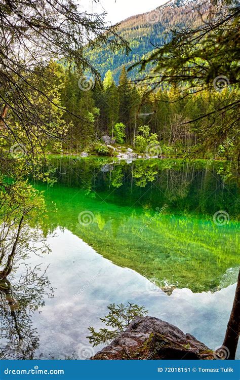 Turquoise Water And Scene Of Trees And Lake Stock Image Image Of