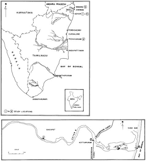 There are a number of river bodies in the state that are marked on the map. Map of Tamil Nadu with the sampling locations. 1: river (Adyar river);... | Download Scientific ...