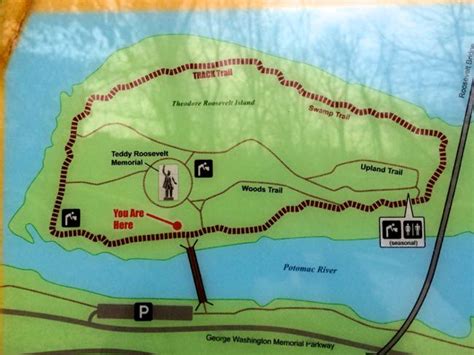 Theodore Roosevelt Island Hike At The Edge Of Washington Dc Carlos Packer