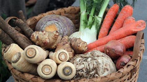 Roots And Tubers For Health Ayurveda And Yoga