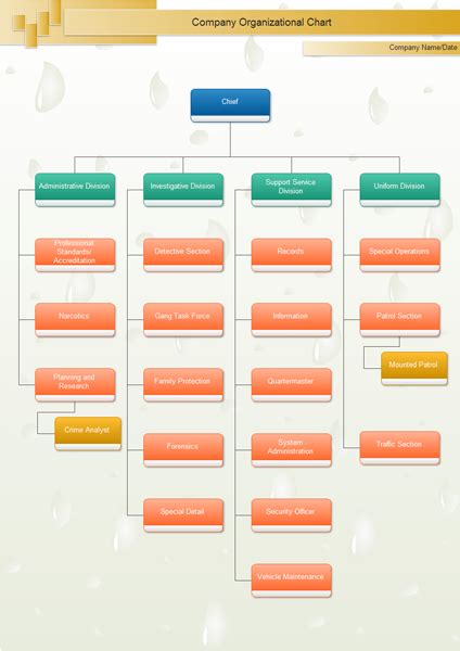 Software Company Hierarchy Chart A Visual Reference Of Charts Chart