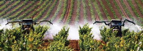 Overhaul Environmental Risk Assessment For Pesticides Science