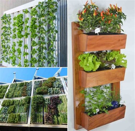 Vertical Garden Systems A Step By Step Guide Gardening Tips