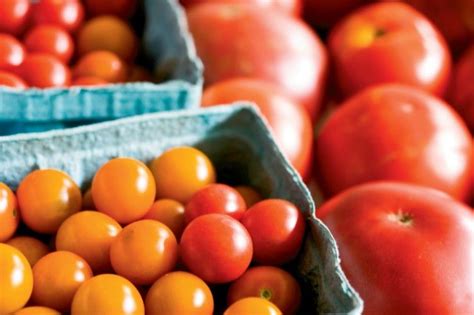 3 Ways To Preserve Tomatoes Tomato Preserving Tomatoes Farm Facts