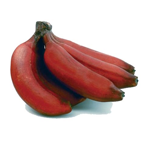 Red Banana Png Images Transparent Free Download Pngmart