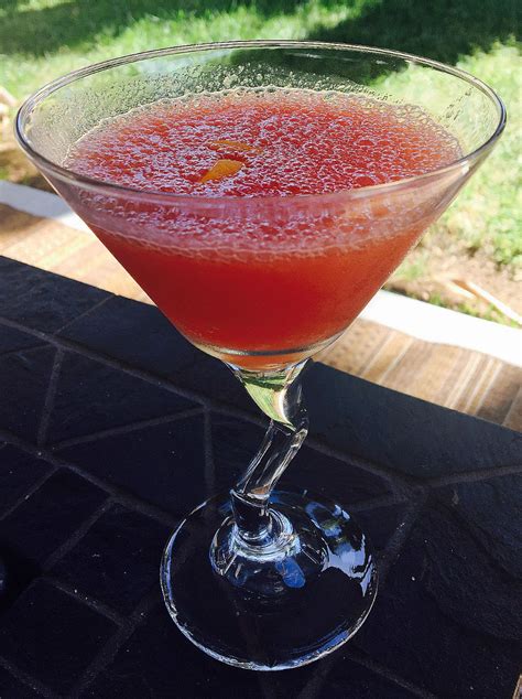 Watermelon Vodka Slush Allrecipes