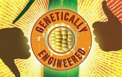 How Consumer Friendly Gmo Foods Could Change Minds About