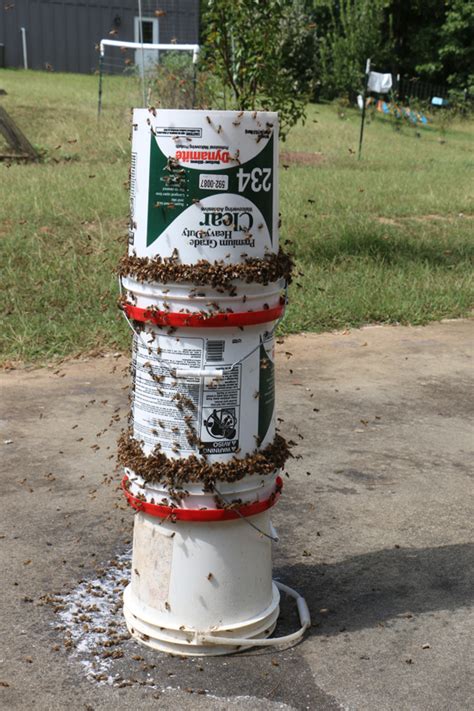 Diy Bee Yard Feeder Video Keeping Backyard Bees