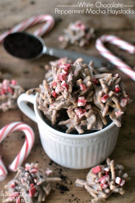 Christmas means munching on the most delicious candies out there and the best part is that there is no restriction. 18 Quick and Easy Christmas Candy Recipes - Style Motivation