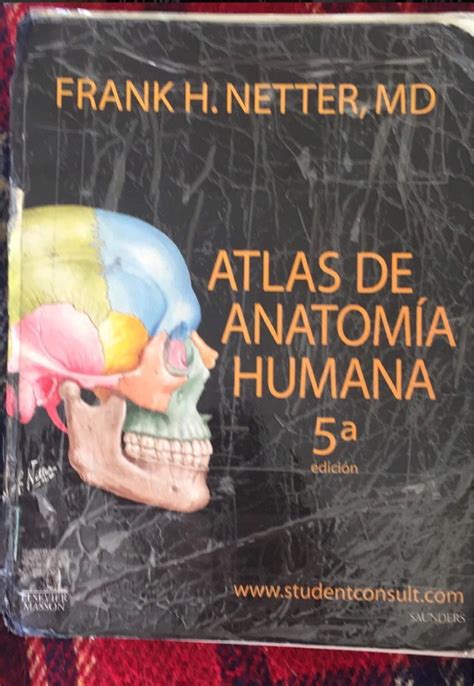 Atlas De Anatomia Humana A Edicion Frank H Netter Md My Xxx Hot Girl