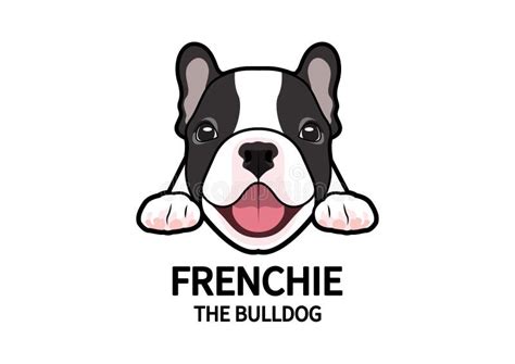 chubby frenchie stock illustrations 28 chubby frenchie stock illustrations vectors and clipart