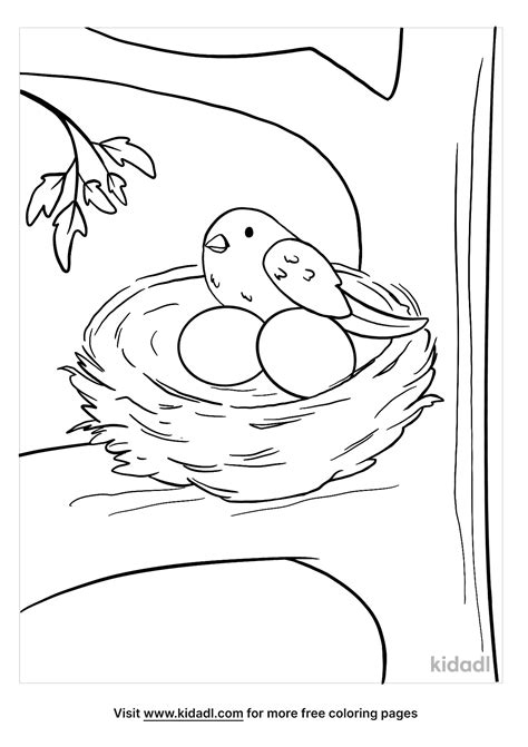 Free Bird Nest Coloring Page Coloring Page Printables Kidadl